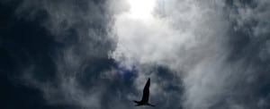 A midsummer eclipse envelops Maug (Photograph by Patrick Symmes)